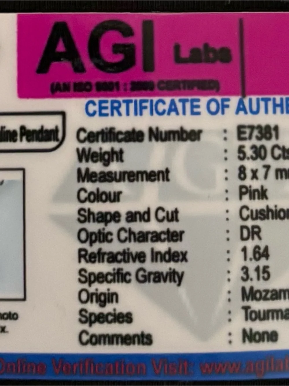 N/A elegant agi